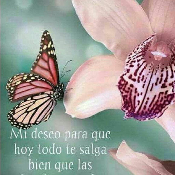 cperez336699